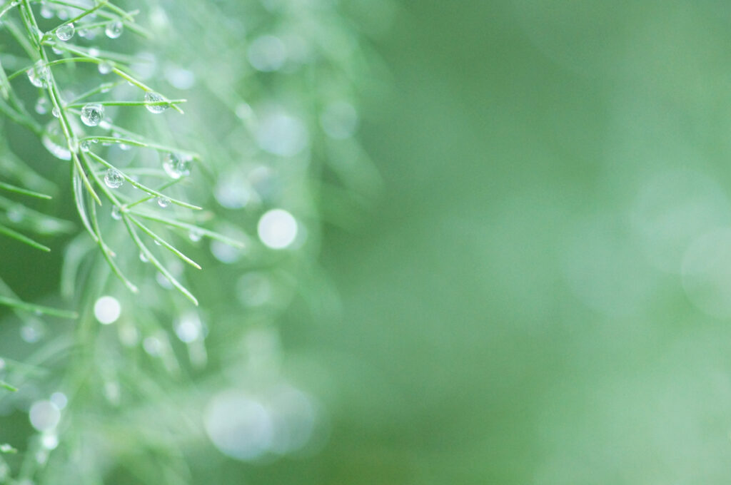 Kontakt | Spargelhof Wagner Hohenwart