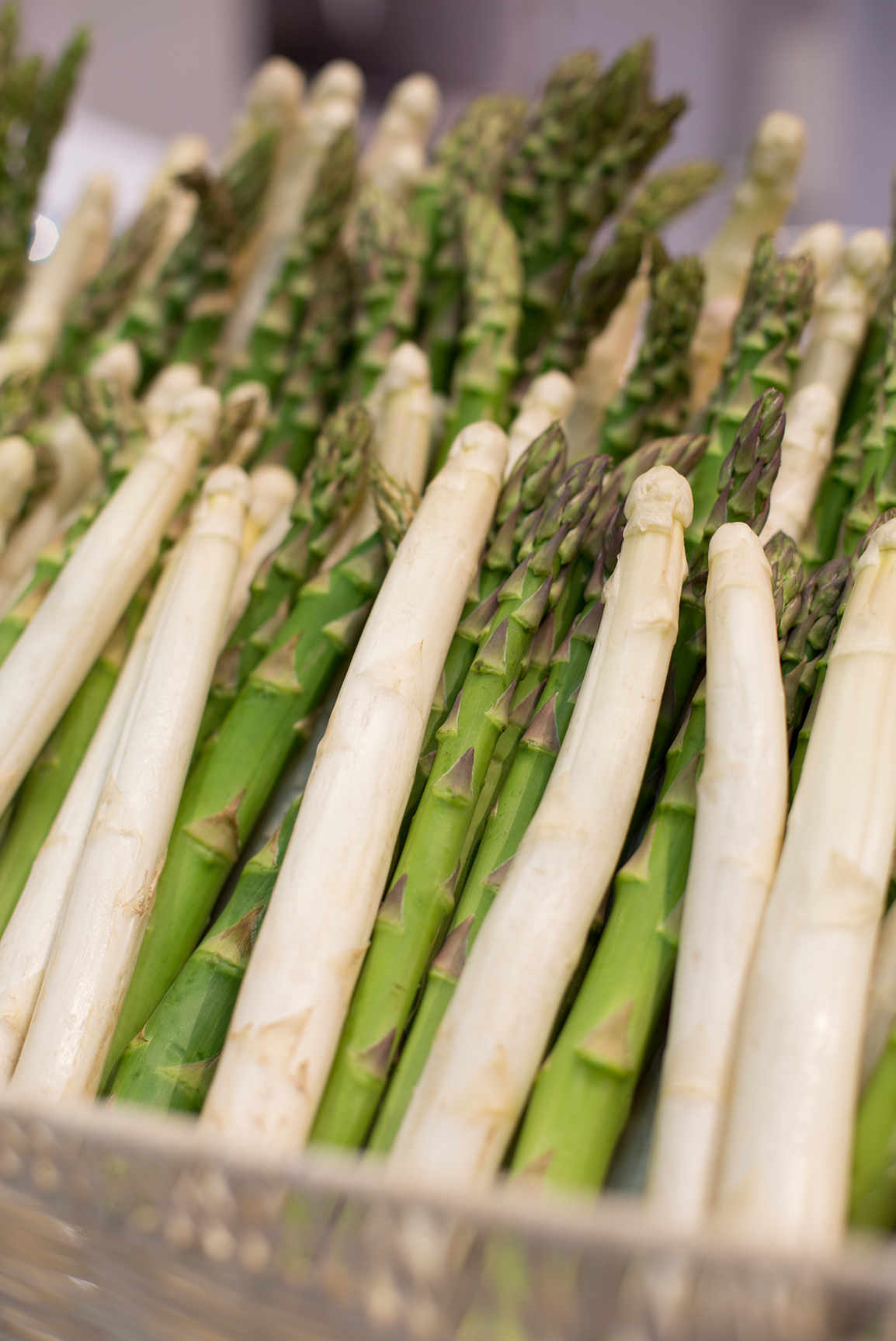 Grüner und weißer Spargel | Spargelhof Wagner Hohenwart